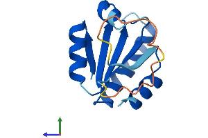 Protein Structure (PS) image for Thioredoxin Domain Containing 8 (Spermatozoa) (TXNDC8) (AA 1-127) protein (His tag) (ABIN7544913)