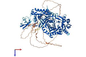 Piwi-Like 2 (PIWIL2) (AA 1-973) protein (His tag)