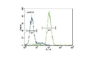 HMGCS2 Antibody (C-term) (ABIN390764 and ABIN2841022) flow cytometric analysis of HepG2 cells (right histogram) compared to a negative control cell (left histogram). (HMGCS2 antibody  (C-Term))