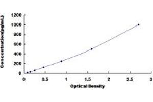 Typical standard curve (STAT6 ELISA Kit)