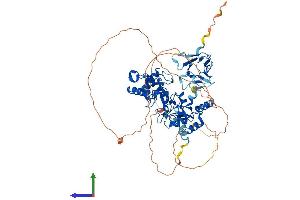AlphaFold protein structure predicition of Human Recombinant CHFR Protein, UniprotID Q96EP1 (CHFR Protein (AA 1-664) (His tag))