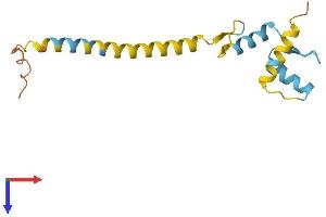 Protein Structure (PS) image for Zinc Finger Protein 818, Pseudogene (ZNF818P) (AA 1-136) protein (His tag) (ABIN7545405)