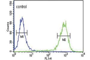 anti-Melanocortin 3 Receptor (MC3R) antibody
