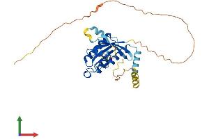 AlphaFold protein structure predicition of Human Recombinant GEM Protein, UniprotID P55040 (GEM Protein (AA 1-296) (His tag))
