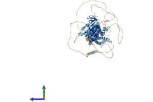 AlphaFold protein structure predicition of Mouse Recombinant Srgap3 Protein, UniprotID Q812A2