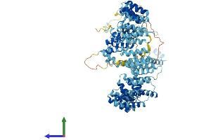 AlphaFold protein structure predicition of Human Recombinant PRPF6 Protein, UniprotID O94906 (PRP6/ANT-1 Protein (AA 1-941) (His tag))