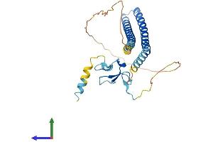 Protein Structure (PS) image for Inhibitor of Growth Family, Member 1 (ING1) (AA 1-279) protein (His tag) (ABIN7561762)