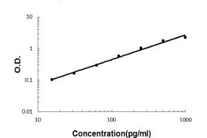 anti-Interleukin 22 (IL22) (AA 34-179) antibody