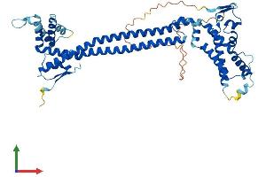 AlphaFold protein structure predicition of Mouse Recombinant Cdk5rap3 Protein, UniprotID Q99LM2