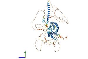 AlphaFold protein structure predicition of Mouse Recombinant Disc1 Protein, UniprotID Q811T9 (DISC1 Protein (AA 1-852) (His tag))