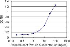Sandwich ELISA detection sensitivity ranging from 3 ng/mL to 100 ng/mL. (SCGN (Human) Matched Antibody Pair)