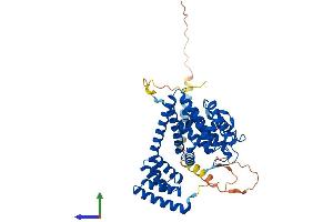 AlphaFold protein structure predicition of Human Recombinant FICD Protein, UniprotID Q9BVA6 (FICD Protein (AA 1-458) (His tag))