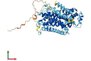 AlphaFold protein structure predicition of Human Recombinant SLC11A1 Protein, UniprotID P49279