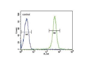 Flow cytometric analysis of Ramos cells (right histogram) compared to a negative control cell (left histogram). (GPI antibody  (C-Term))