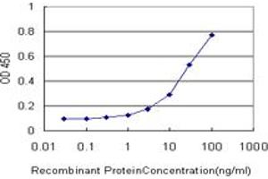 Detection limit for recombinant GST tagged TMEM115 is approximately 1ng/ml as a capture antibody. (TMEM115 antibody  (AA 1-351))