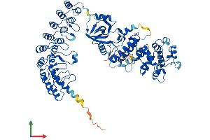 Protein Structure (PS) image for Ribonuclease L (2',5'-Oligoisoadenylate Synthetase-Dependent) (RNASEL) (AA 1-741) protein (His tag) (ABIN7555238)