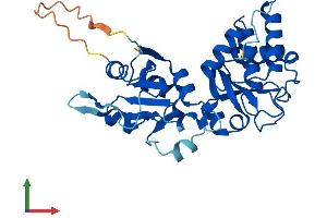 Protein Structure (PS) image for serine/threonine/tyrosine Interacting-Like 1 (STYXL1) (AA 1-313) protein (His tag) (ABIN7544050)