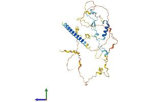 AlphaFold protein structure predicition of Human Recombinant MIIP Protein, UniprotID Q5JXC2 (MIIP Protein (AA 1-388) (His tag))