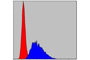 Flow cytometric analysis of NIH/3T3 cells using CASP8 monoclonal antibody, clone 1H11  (blue) and negative control (red). (Caspase 8 antibody)