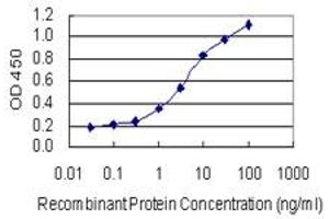 Detection limit for recombinant GST tagged DAZAP2 is 0. (DAZAP2 antibody  (AA 1-168))