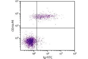 Human peripheral blood lymphocytes were stained with Goat F(ab’)2 Anti-Human Ig-FITC. (Goat anti-Human Ig Antibody)