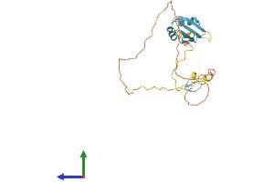 AlphaFold protein structure predicition of Human Recombinant SRSF7 Protein, UniprotID Q16629 (SFRS7 Protein (AA 1-238) (His tag))