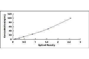 Typical standard curve (HSP70 1A ELISA Kit)