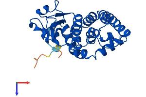 GSTO2 Protein (AA 1-248) (His tag)