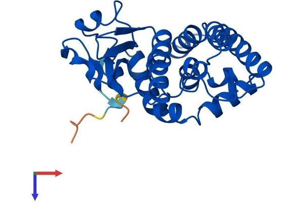 GSTO2 Protein (AA 1-248) (His tag)