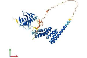 Protein Structure (PS) image for Aryl Hydrocarbon Receptor Interacting Protein-Like 1 (AIPL1) (AA 1-384) protein (His tag) (ABIN7552075)