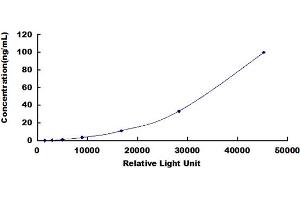 ELISA image for alpha-2-Macroglobulin (A2M) CLIA Kit (ABIN492234)