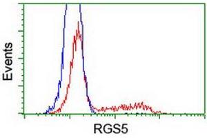 Image no. 2 for anti-Regulator of G-Protein Signaling 5 (RGS5) (AA 1-181) antibody (ABIN1490600) (RGS5 antibody  (AA 1-181))