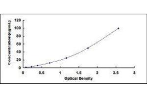 Typical standard curve