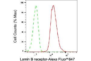 Flow cytometric analysis of Lamin B receptor expression in HAP-1 cells using Lamin B receptor antibody (ABIN7799230), 1:2,000). (Recombinant Lamin B Receptor antibody)