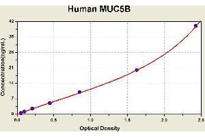 Diagramm of the ELISA kit to detect Human MUC5Bwith the optical density on the x-axis and the concentration on the y-axis.