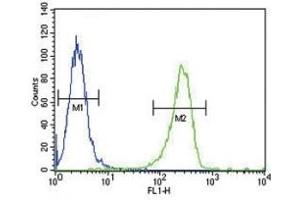 TPA antibody flow cytometric analysis of A2058 cells (green) compared to a negative control (blue).