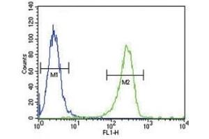 TPA antibody flow cytometric analysis of A2058 cells (green) compared to a negative control (blue). (PLAT antibody  (AA 371-399))