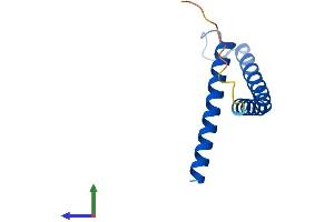 Protein Structure (PS) image for Fracture Callus 1 Homolog (FXC1) (AA 1-103) protein (His tag) (ABIN7544075)