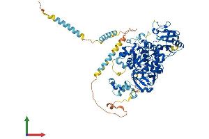 Protein Structure (PS) image for Mannosyl (Alpha-1,6-)-Glycoprotein beta-1,6-N-Acetyl-Glucosaminyltransferase (MGAT5) (AA 1-740) protein (His tag) (ABIN7559762)