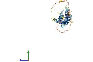 AlphaFold protein structure predicition of Mouse Recombinant Cacng5 Protein, UniprotID Q8VHW4 (CACNG5 Protein (AA 1-275) (His tag))