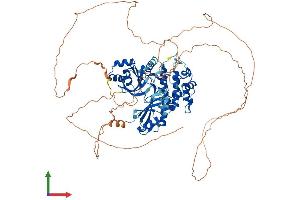 AlphaFold protein structure predicition of Human Recombinant MARK2 Protein, UniprotID Q7KZI7 (MARK2 Protein (AA 1-788) (His tag))