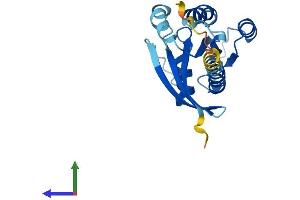 Protein Structure (PS) image for RAB7B, Member RAS Oncogene Family (RAB7B) (AA 1-199) protein (His tag) (ABIN7559899)