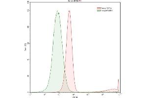 Detection of CD42d in Raji human Burkitt's lymphoma cell line using Polyclonal Antibody to Cluster of Differentiation 42d (CD42d) (GP5 antibody  (AA 17-242))