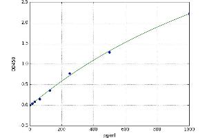 Mitogen-Activated Protein Kinase Kinase Kinase 5 (MAP3K5) ELISA Kit