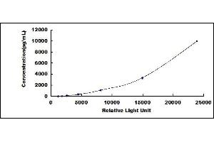 Typical standard curve