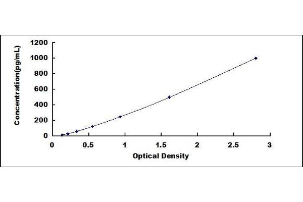 FGF15 ELISA Kit