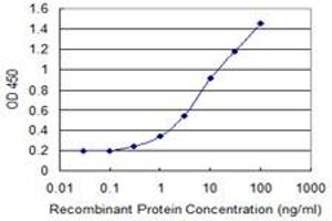 Detection limit for recombinant GST tagged DEPDC7 is 0. (DEPDC7 antibody  (AA 393-499))
