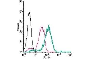 Cell surface detection of CX3CR1 in live intact human THP-1 monocytic leukemia cells: (black line) Cells. (CX3CR1 antibody  (Extracellular) (FITC))