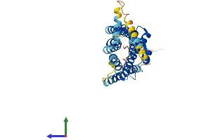 Protein Structure (PS) image for Somatostatin Receptor 2 (SSTR2) (AA 1-369) protein (His tag) (ABIN7555615)