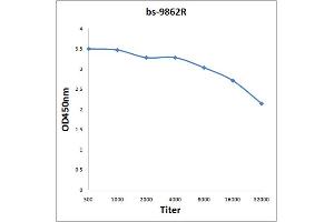 Antigen: 2 µg/100 µL  Primary: Antiserum, 1:500, 1:1000, 1:2000, 1:4000, 1:8000, 1:16000, 1:32000;  Secondary: HRP conjugated Rabbit Anti-Goat IgG at 1: 5000;  TMB staining Read the data in Microplate Reader by 450nm. (MYH7 antibody  (AA 1350-1390))